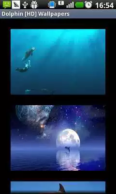 Play Dolphin [HD] Wallpapers